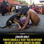 Liz Solari Instagram – Serán mis discípulos si se aman los unos a los otros y si muestran amor y misericordia por todas las criaturas de Dios. Especialmente las débiles y oprimidas que sufren el mal.  #Jesus #Yeshua #Cristo 

…

La conmovedora escena de un perro consolando a ‘Jesús’ durante el vía crucis causó revuelo en las redes sociales.

Y es que mientras se realizaba la escenificación del vía crucis, un hombre disfrazado de ‘Jesús’ fue abordado por un perro que se encontraba caminando por el lugar. Este al ver al actor siendo ‘azotado’ por los guardias, entró a la escena e inmediatamente se acercó para lamerle las heridas. 

Repost @inzpirarte 

#Yeshua #Animales #Compasion