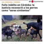 Liz Solari Instagram – #Repost @leysintientes with @use.repost
・・・
📣 FALLO HISTÓRICO EN ARGENTINA 

CORDOBA ESTABLECIÓ QUE LOS PERROS SON SERES SINTIENTES 🙏🏻❤️🐾🥳

“El fallo significó un nuevo aporte al desarrollo progresivo jurisprudencial en torno a los animales, que paulatinamente, deconstruye las bases antropocéntricas del ordenamiento jurídico.”

Suma tu firma para que todos los animales sean considerados sintientes en Argentina. Encontra nuestra petición en bio 🙏✍️❤️

📣 Historical legal ruling in Argentina: Cordoba established that dogs are sentient beings. 🙏❤️🐾✍️🥳

“The ruling meant a new contribution to the progressive jurisprudential development around animals, which gradually deconstructs the anthropocentric bases of the legal system.”

Sign and share our petition for all animals to be condisered sentient in Argentina. Link in Bio 🙏❤️✍️

@cherchevalier_author @clegg.judith @smileymindskids 

#leysintientes 
#sentientlaw 
#derechosanimales 
#noticias 
#news