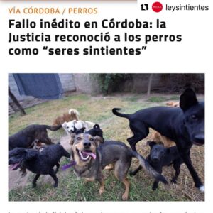 Liz Solari Instagram - #Repost @leysintientes with @use.repost
・・・
📣 FALLO HISTÓRICO EN ARGENTINA 

CORDOBA ESTABLECIÓ QUE LOS PERROS SON SERES SINTIENTES 🙏🏻❤️🐾🥳

“El fallo significó un nuevo aporte al desarrollo progresivo jurisprudencial en torno a los animales, que paulatinamente, deconstruye las bases antropocéntricas del ordenamiento jurídico."

Suma tu firma para que todos los animales sean considerados sintientes en Argentina. Encontra nuestra petición en bio 🙏✍️❤️

📣 Historical legal ruling in Argentina: Cordoba established that dogs are sentient beings. 🙏❤️🐾✍️🥳

"The ruling meant a new contribution to the progressive jurisprudential development around animals, which gradually deconstructs the anthropocentric bases of the legal system."

Sign and share our petition for all animals to be condisered sentient in Argentina. Link in Bio 🙏❤️✍️

@cherchevalier_author @clegg.judith @smileymindskids 

#leysintientes 
#sentientlaw 
#derechosanimales 
#noticias 
#news