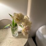 Lo Bosworth Instagram – spring flowers from ❤️, date nights, the country, my dogtor, norovirus, fishing not catching, and more