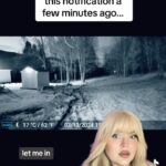 Loey Lane Instagram - She heard someone whispering “let me in” to her security cameras… but no one was there 😭 OP mandyasmr22 who captured this terrifying moment outside her own home, where she has experienced SO much paranormal activity. What do you think this could be? #reels #paranormal #ghost #scary #horror #haunted #creepy #scaryvideos #storytime