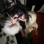 Loreen Instagram – I felt so loved at @melodifestivalen