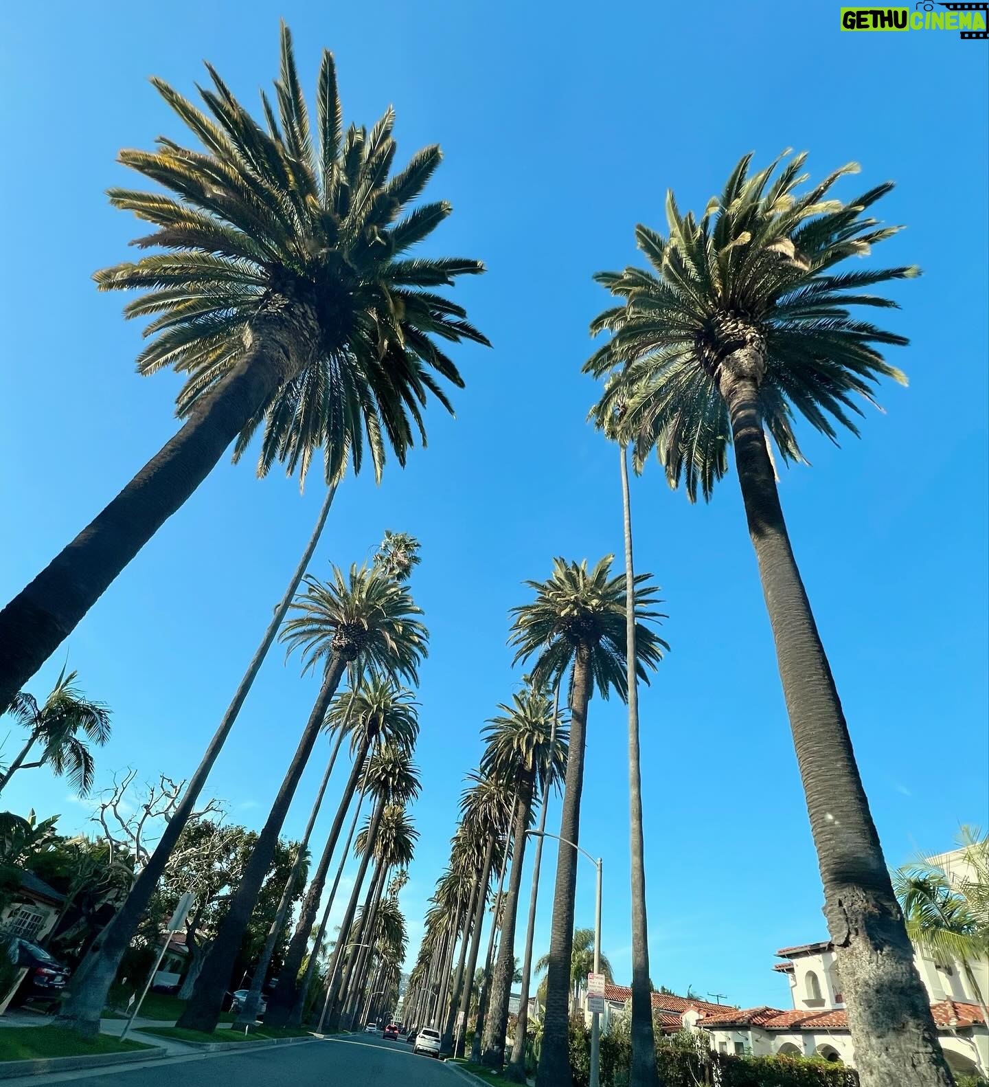 Lorena Castell Instagram - Diario de viaje 1. Santa Mónica 2. Venice canals 3. @browntattoo ✌🏼 4. LA vibes 5. @greystudiola 6. Malibú Pier 7. La feria 🎡 8. La promoción 🪩