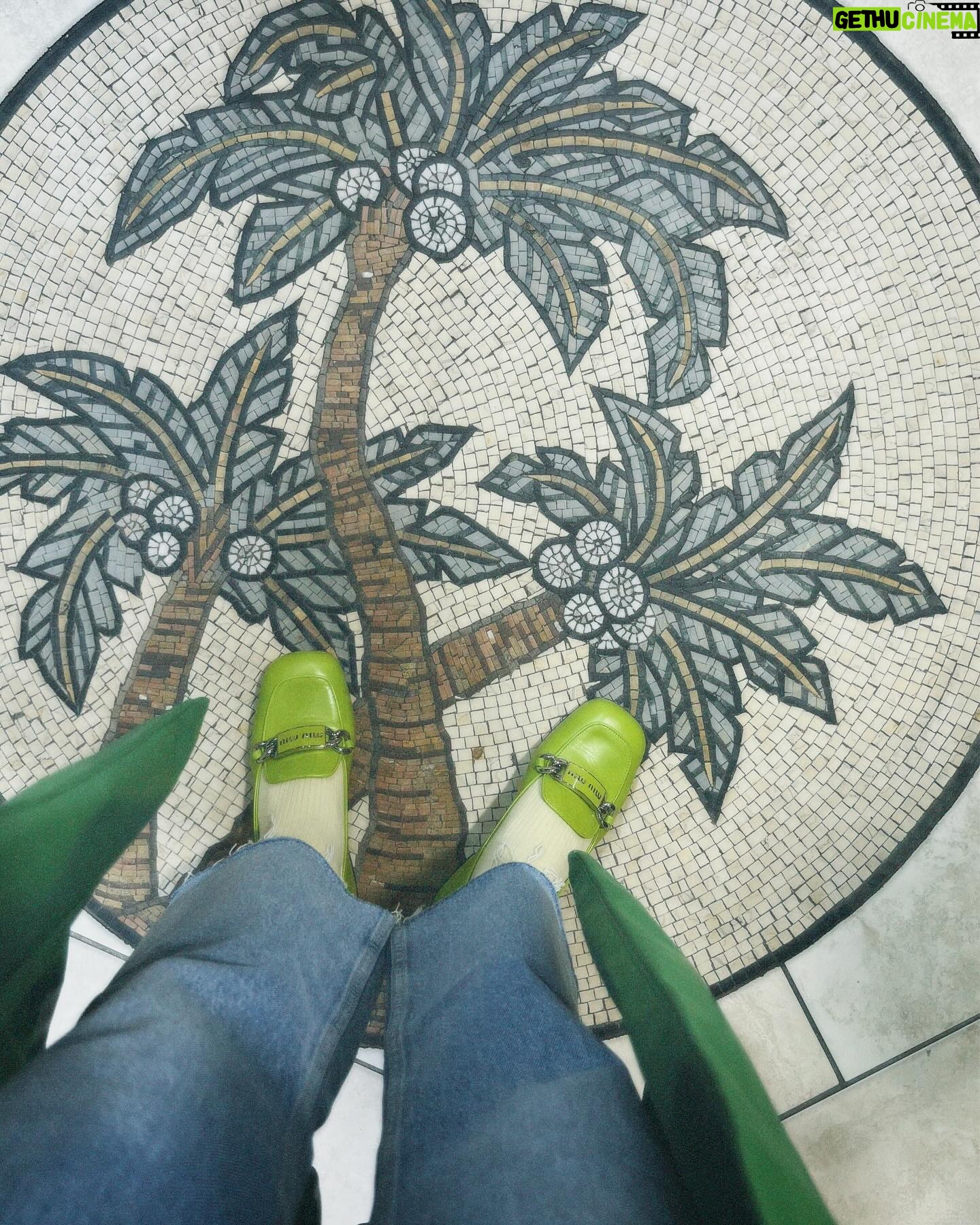 Lorena Castell Instagram - MIAMI VOLUMEN 2 La chica de mocasines verdes 💚