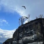 Loreto Aravena Instagram – Bahía Ainsworth e Islotes Tuckers en la Patagonia Chilena 🏔️
Con mi compañera de trekking @hildadelourdessot y los pingüinos de Magallanes 🐧 y el infaltable arcoíris