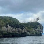 Loreto Aravena Instagram – Bahía Ainsworth e Islotes Tuckers en la Patagonia Chilena 🏔️
Con mi compañera de trekking @hildadelourdessot y los pingüinos de Magallanes 🐧 y el infaltable arcoíris