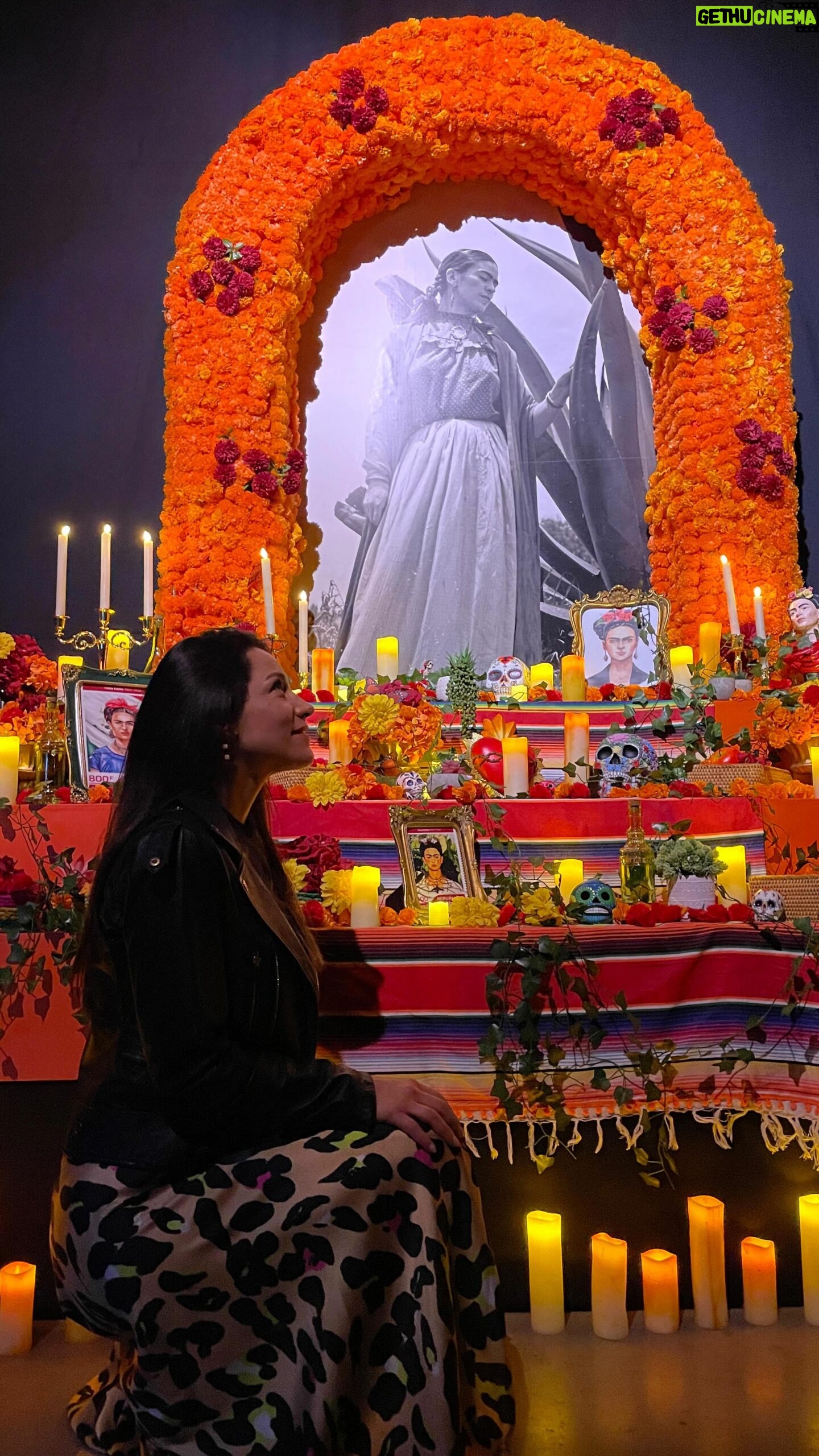 Loreto Aravena Instagram - Ya puedes sumergirte en la obra de la artista mexicana Frida Khalo y vivir una experiencia ΓΊnica junto a tu familia! IncreΓble ver su obra asΓ @fridakahlo.chile @bizarrolivecl ππ»ππ»ππ»ππ»ππ»ππ»ππ»ππ»ππ»