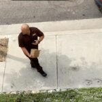 Lori Greiner Instagram – Hope this guy isn’t delivering your holiday packages 😂