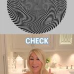 Lori Greiner Instagram - What number do you see? #opticalillusions #opticalillusion #numbers