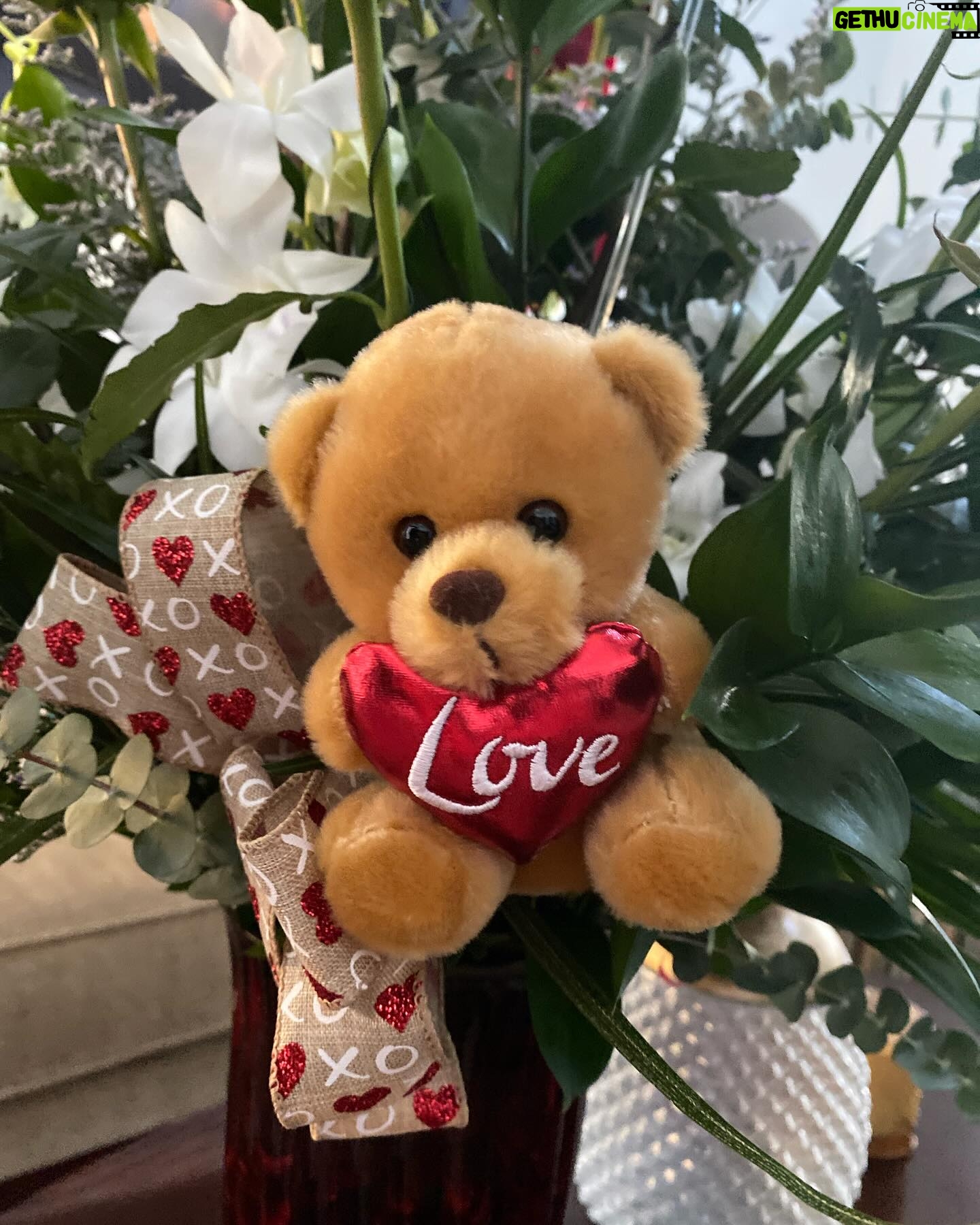 Lourdes Stephen Instagram - Qué manera de arrancar el día ! Aunque todos son dias perfectos para demostramos amor …como me gusta el de San Valentín! 💘 Tu lo celebras ?