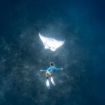 Lucie Donlan Instagram - The sea, once it casts its spell.. holds one in its net of wonders forever..💙 Thank you @kandu for this magical moment today..💙 Photo by : @nazykko at @kandu