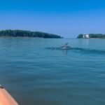 Lucie Donlan Instagram - Day 2 of the Alabama road trip and what can I say, it’s been the dreamiest day of kayaking, nature and sunsets. 🇺🇸🐬🌲 We drove from Mobile to Gulf Shores to kayak down the stunning Oyster Bay that connects to the ocean, so we were surprised by dolphins swimming beside the kayaks which was a moment to remember. 🐬 After the Kayaking trip, we then took a drive down to Orange Beach where we hung out on the long stretch of white sand beaches. I also enjoyed checking out the Flora-Bama Lounge with country music and drinks right on the beach. Then, we ended with this magical day watching the sun set across the beach. @visittheusa @alabamatravel #VisitTheUSA #SweetHomeAlabama AD