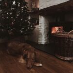 Lucie Donlan Instagram - Cornish Christmas…🌲🤍