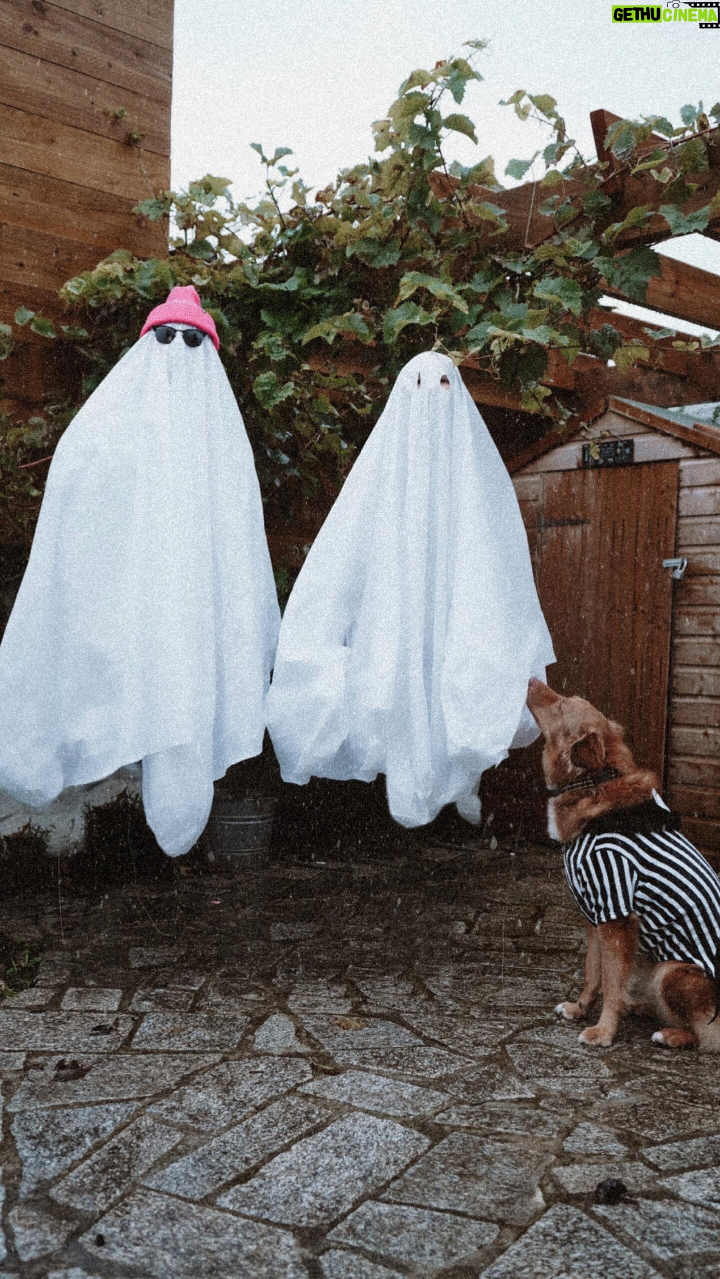 Lucie Donlan Instagram - Yes everyones Halloween outfits are good but we have fully embraced the classic ghosts 👻