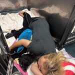 Lucy Davis Instagram - I just saw a post on X where a veterinarian said that when he has to put a dog to sleep without the dog’s owner there, the dogs look around them for their owner at the last minute. I thought this was so important to read. I nearly lost my girl a couple of months ago. I was told she either had to have major surgery (her gall bladder removed at nearly 16 yrs old) or I had to euthanize that day. This was a hard decision at her age, but after talking at length with the doctors, I decided to go thru the surgery. I visited her twice a day, sometimes for hours on end. They let me lie in her kennel with her for hours. It was heartbreaking. But I truly believe that’s what helped her come thru. Be with your animals. You are their best friend for their whole lives. They deserve you to see it thru with them. They are giving, magical beings🩷 Ps she is very well now and very energetic!💞 HUGE thanks to everyone at @mashvet who were the kindest and most caring people we could have had. So grateful for them💗🫶🏽💗
