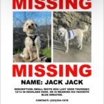 Lucy Davis Instagram – Highland park, Pasadena areas. Please keep a lookout💞💞💞