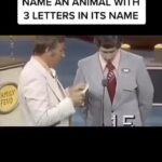 Lucy Davis Instagram – 😂😂 I love #familyfeud #familyfortunes repost @stevemaraboli @gatesygram