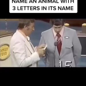 Lucy Davis Instagram - 😂😂 I love #familyfeud #familyfortunes repost @stevemaraboli @gatesygram