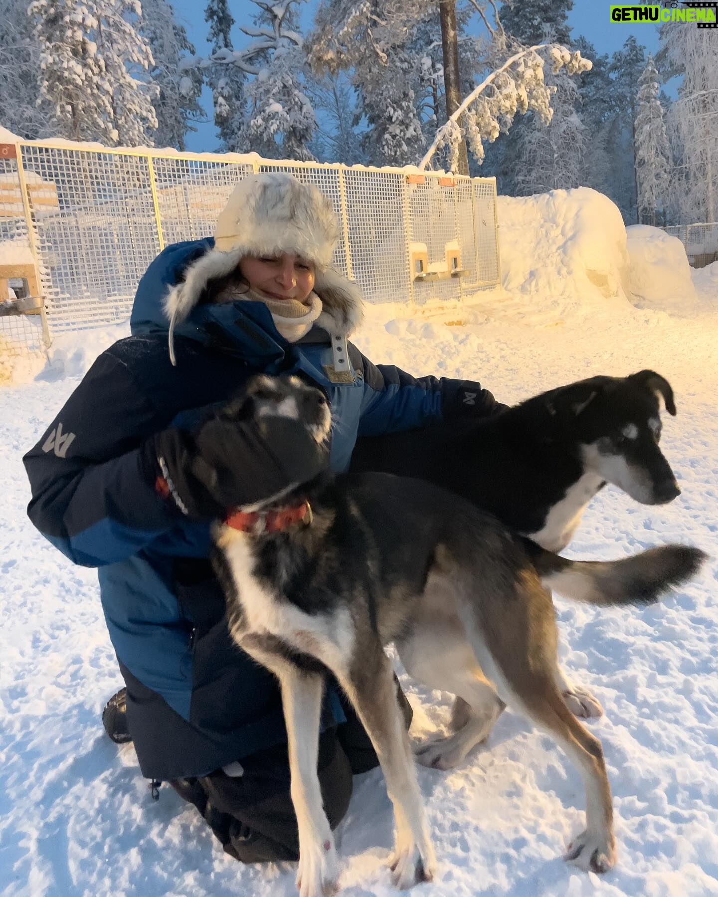 Lufy Instagram - clap de fin pour notre incroyable voyage en Laponie suédoise 🥹 on repart des étoiles plein les yeux. Vous m’avez demandé quel voyage on avait préféré entre celui en Laponie finlandaise il y a 5 ans ou celui-ci en Laponie suédoise, sachez que les paysages sont les mêmes. La Laponie finlandaise est juste plus connue, il y a le village du père Noël, il y a plus d’infrastructures, là où la suédoise est un peu moins touristique pour le moment. Mais pour le séjour et les activités ça ne change rien, les deux sont incroyables ✨