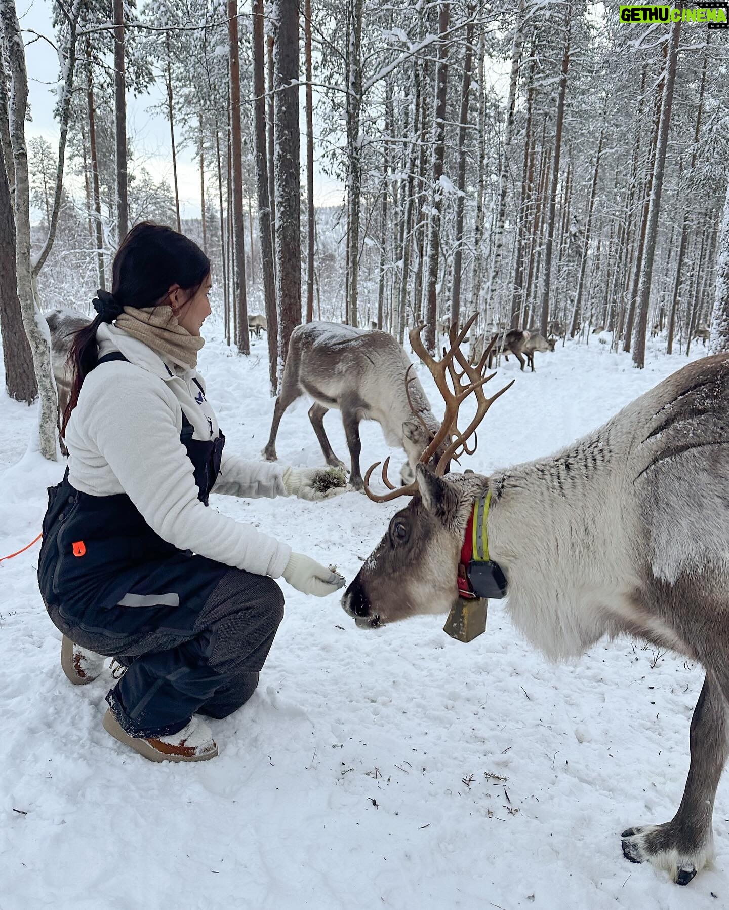 Lufy Instagram - clap de fin pour notre incroyable voyage en Laponie suédoise 🥹 on repart des étoiles plein les yeux. Vous m’avez demandé quel voyage on avait préféré entre celui en Laponie finlandaise il y a 5 ans ou celui-ci en Laponie suédoise, sachez que les paysages sont les mêmes. La Laponie finlandaise est juste plus connue, il y a le village du père Noël, il y a plus d’infrastructures, là où la suédoise est un peu moins touristique pour le moment. Mais pour le séjour et les activités ça ne change rien, les deux sont incroyables ✨