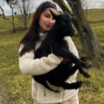 Lufy Instagram – on ne pouvait pas séparer une famille, alors on les a adoptés tous les quatre 🥹
Après avoir été abandonnés, ces deux petites sœurs et leurs deux parents étaient en refuge depuis plusieurs mois, elles sont maintenant chez nous 🫶🏻
À la base on partait dans l’optique de n’en adopter qu’une… puis deux… pour tenir compagnie à notre petite biquette après que notre bouc nous ait quitté. Mais il était impossible de faire un choix, et on a de la place, alors on a embarqué la famille entière avec nous✨