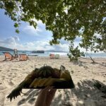 Lufy Instagram – vous devez choisir un seul endroit pour passer la journée : 1, 2, 3 ou 4?
petit aperçu d’une journée magique dans les Îles Phi Phi avec son incroyable lagon et ses magnifiques plages 💦 

#thailand #phiphiisland #thailandisland #thailandtravel #phiphidon #traveltheworld #asia #travelphotography #bikinigirl