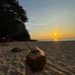 Lufy Instagram - tag la personne avec laquelle tu veux faire tes plus beaux voyages 🐚 moi j’ai trouvé la mienne @enzovoort9 🫶🏻