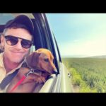 Luke Evans Instagram - Happy #internationaldogday Here’s a few doggies I’ve fallen in love with over the years ❤️🐶