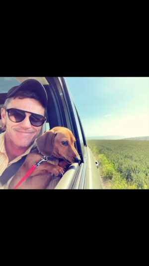Luke Evans Instagram - Happy #internationaldogday Here’s a few doggies I’ve fallen in love with over the years ❤️🐶