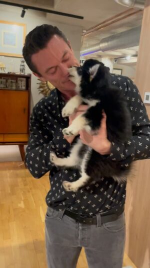 Luke Evans Instagram - Rosario the pomski. 
I’m in love. 
#dogsofinstagram #happysunday