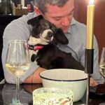 Luke Evans Instagram - A Dog is not just for Xmas….