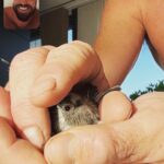 Luke Evans Instagram - A little bird flew into my kitchen this morning, while I was chatting to Fran, it allowed me to pick it up and even do a little selfie, before I sent it on its way into the blue skies over London this morning. Happy Saturday everybody! #saturday #saturdayvibes Also excuse my filthy nails, I’ve been gardening This morning! 🪴 🐦 ☀️