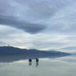 Luna Blaise Instagram – long live california and vegas