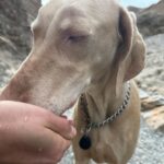 Luna Blaise Instagram – long live california and vegas