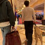 Luna Blaise Instagram – long live california and vegas