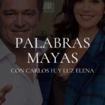 Luz Elena González Instagram – ¡Sé vecino de los famosos! 😎⚡️ @chermosillo27 @luzelenaglezz 

🌳 Akún Mayab Residences un proyecto de departamentos que van más allá de las expectativas convencionales, proporcionando lujo y servicios exclusivos que van de la mano con nuestro estilo de hotel resort.

Akún Mayab Residences ubicado en la exclusiva Zona Diamante de Mérida, Yucatán al norte de la ciudad🙌🏼💎

🏝️ A 15 minutos de la playa más cercana
🏡 A 5 minutos de Yucatán Country Club
🏊🏼 Con más de 20 amenidades para toda la familia
🎓 A minutos de privilegiadas escuelas
⛳️ Cerca de tres campos de golf
🚀 Alta proyección de crecimiento de zona
⚡️ Zona de alta plusvalía

Si estas interesado, deja un comentario y te mandamos mensaje 📲

🔗 Visita nuestro sitio web: www.akunmexico.com

#akunmexico #merida #yucatan #meridayucatan #meridayucatanmexico #mexico #bienesraices #realestate #realestateinvesting #luzelenagonzalez #juliocesarchavez #jcc #carloshermosillo #famosos