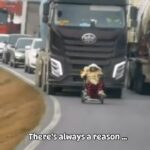 Lynn Toler Instagram - The trucks that can’t see the hold up must be wondering why. After watching the whole thing and seeing that the back up goes in both directions now has me wondering why as well. The whole video made me itch because I’m impatient and I hate inefficiencies. That said I have to acknowledge what I don’t know and resist the urge to wax poetic about what I would have done. I am just going to sit in the uncertainty of it and enjoy the visual and the song. Happy Thursday! Shoutout @dr.sosmedt