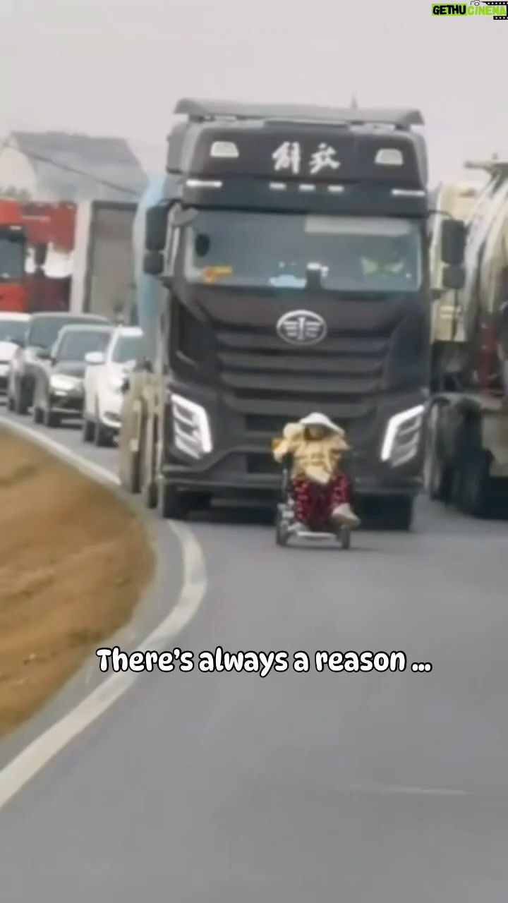 Lynn Toler Instagram - The trucks that can’t see the hold up must be wondering why. After watching the whole thing and seeing that the back up goes in both directions now has me wondering why as well. The whole video made me itch because I’m impatient and I hate inefficiencies. That said I have to acknowledge what I don’t know and resist the urge to wax poetic about what I would have done. I am just going to sit in the uncertainty of it and enjoy the visual and the song. Happy Thursday! Shoutout @dr.sosmedt