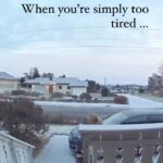 Lynn Toler Instagram - Appears she had a tough day but she wasn’t gonna let it stop her. Headed home with a vengeance. I’ve been there.😂 I like this video because she kept coming and #keepcoming was my mother’s mantra. She preached toughness. She wanted me to stand up for myself but didn’t want me to be delicate. Take #insult, for instance. Her thing was you can’t let other people up end you if they aren’t authorized to do so. Some people are. Your kids do it all the time. It’s their job. #momlife #dadduty But the lady at the register? The guy that cut you off on the road? These people are, in accountancy terms, Disregarded Entities. They exist but they’re so powerless the government doesn’t even want to hear from them at tax time. Also know as Pass Through Entities, all they can do is be a conduit. They can’t redirect anything. That’s what all that noise is out there. People treating Disregarded Entities as purveyors of power. They are not. And not for nothing I am nice to all the Disregarded Entities I meet. Not knowing anything about their corporate structure culture or current monetary health, you don’t want to rattle a cage that might actually fall on you. Deeper still, what if you make that one kind comment that keeps them cool in a scorching hot day of inconvenience and irritations with the occasional indignity thrown in for good measure? What’s kindness gonna cost you? Even if they don’t respond well. As the old joke goes, when you get to Heaven God’s gonna ask you about your sins, not anybody else’s. We’re all doomed to live in the agitation we create. Other people used to get on my nerves so bad I was never happy. THEY were all fine. I was grouchy and discontented. I was the injured party, not them … and there is no wound so ignominious as one inflicted on oneself. When met with new and odd ask yourself shall I judge or enjoy? Knowing that to them, YOU are a Disregarded Entity, why would you hand them your peace? #keepcoming … like my girl here. Getting upset would not have gotten her any closer to her goal. Let’s all be too tough to be taken down by someone else who’s trippin’. Enjoy your day. #emotions #emotionalintelligence Shoutout @failarmy