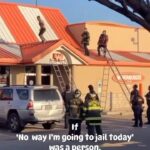 Lynn Toler Instagram - Even though I am a law and order girl by trade, I still had to root for dude here. Outnumbered, no equipment… not even a shirt, my man bobbed and weaved and went right through them. I’m not sure why my dude was up on that roof or what went down just before. Bad guy, misunderstood guy, confused guy, distraught guy: we don’t know which one he is. What I do know is that he was committed to the proposition of not getting caught. I feel like that a lot. Not running from the authorities, but just running. I’m always just a little bit anxious and said #anxiety, has led to a number of less than optimal decisions. I hate conflict. I’m shy. And as a young person I thought Other People of any variety were problematic, distressing and intrusive. They didn’t even have to do anything to me either. Their presence in my airspace was disconcerting all on its own. I was always trying to be alone. When I went to college I wanted to be an anesthesiologist. You know, a doctor who puts people asleep. Dream job. Unconscious is just how I liked people back in the day. But in order to get into medical school you have to go to class in college… but once I figured out how to pass classes without going, I STAYED in my dorm room. Soaking up solitude and hanging with a few women friends who were gracious enough to put up with me. Got in and out with minimal effort and human contact. Something I regret to this day. As a function of those bad decisions (and it’s fair to presume some less than stellar reasoning got my man up on that roof.) I, not unlike dude, found myself bobbing and weaving through a profession that, by its very nature, offered nothing but conflict and waves of people with whom you were paid to spar. Then my reclusive behind married a dude with four kids. FOUR. What kind of self respecting wannabe recluse does that? Poor decision making and a nervous nature notwithstanding things turned ok. I hope whatever his issues, dude ends up okay too. Now as a law and order girl depending on what proceeded this scene ending up okay might require some jail time. You gotta pay to play. Have a fabulous Friday. Stay nimble. Should @wakeupwiththewolfshow @ryanfoxnow