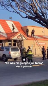 Lynn Toler Instagram - Even though I am a law and order girl by trade, I still had to root for dude here. Outnumbered, no equipment… not even a shirt, my man bobbed and weaved and went right through them. I’m not sure why my dude was up on that roof or what went down just before. Bad guy, misunderstood guy, confused guy, distraught guy: we don’t know which one he is. What I do know is that he was committed to the proposition of not getting caught. I feel like that a lot. Not running from the authorities, but just running. I’m always just a little bit anxious and said #anxiety, has led to a number of less than optimal decisions. I hate conflict. I’m shy. And as a young person I thought Other People of any variety were problematic, distressing and intrusive. They didn’t even have to do anything to me either. Their presence in my airspace was disconcerting all on its own. I was always trying to be alone. When I went to college I wanted to be an anesthesiologist. You know, a doctor who puts people asleep. Dream job. Unconscious is just how I liked people back in the day. But in order to get into medical school you have to go to class in college… but once I figured out how to pass classes without going, I STAYED in my dorm room. Soaking up solitude and hanging with a few women friends who were gracious enough to put up with me. Got in and out with minimal effort and human contact. Something I regret to this day. As a function of those bad decisions (and it’s fair to presume some less than stellar reasoning got my man up on that roof.) I, not unlike dude, found myself bobbing and weaving through a profession that, by its very nature, offered nothing but conflict and waves of people with whom you were paid to spar. Then my reclusive behind married a dude with four kids. FOUR. What kind of self respecting wannabe recluse does that? Poor decision making and a nervous nature notwithstanding things turned ok. I hope whatever his issues, dude ends up okay too. Now as a law and order girl depending on what proceeded this scene ending up okay might require some jail time. You gotta pay to play. Have a fabulous Friday. Stay nimble. Should @wakeupwiththewolfshow @ryanfoxnow