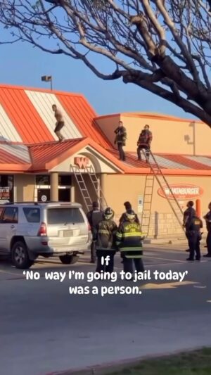Lynn Toler Instagram - Even though I am a law and order girl by trade, I still had to root for dude here.

Outnumbered, no equipment… not even a shirt, my man bobbed and weaved and went right through them.

I’m not sure why my dude was up on that roof or what went down just before.  Bad guy, misunderstood guy, confused guy, distraught guy: we don’t know which one he is.

What I do know is that he was committed to the proposition of not getting caught.

I feel like that a lot. Not running from the authorities, but just running. I’m always just a little bit anxious and said #anxiety, has led to a number of less than optimal decisions.

I hate conflict. I’m shy. And as a young person I thought Other People of any variety were problematic, distressing and intrusive. They didn’t even have to do anything to me either. Their presence in my airspace was disconcerting all on its own. I was always trying to be alone.

When I went to college I wanted to be an anesthesiologist. You know, a doctor who puts people asleep.  Dream job. Unconscious is just how I liked people back in the day.

But in order to get into medical school you have to go to class in college… but once I figured out how to pass classes without going, I STAYED in my dorm room.  Soaking up solitude and hanging with a few women friends who were gracious enough to put up with me. Got in and out with minimal effort and human contact. Something I regret to this day. 

As a function of those bad decisions (and it’s fair to presume some less than stellar reasoning got my man up on that roof.) I, not unlike dude, found myself bobbing and weaving through a profession that, by its very nature, offered nothing but conflict and waves of people with whom you were paid to spar.

Then my reclusive behind married a dude with four kids. FOUR. What kind of self respecting wannabe recluse does that?

Poor decision making and a nervous nature notwithstanding things turned ok.

I hope whatever his issues, dude ends up okay too. Now as a law and order girl depending on what proceeded this scene ending up okay might require some jail time. You gotta pay to play.

Have a fabulous Friday. Stay nimble.

Should @wakeupwiththewolfshow @ryanfoxnow