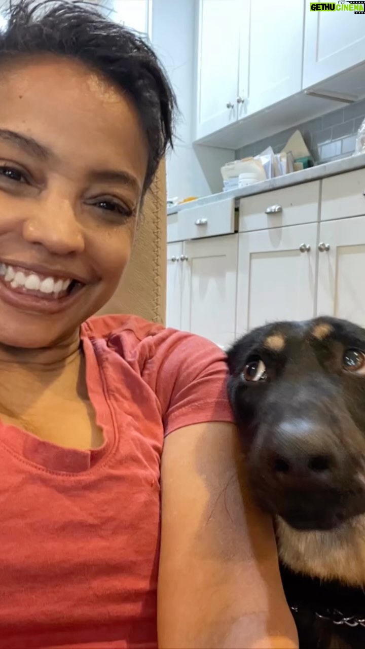 Lynn Toler - 10.3K Likes - Me, sitting on the floor with Zora! Nothing like a calm #dog. #dogsofinstagram
I’m working on staying in the moment. No small feat for a card carrying member of the #anxiety society. (What an annoying club to belong to 🤨).
Anyway, this is me and my piece of peace parked on the floor watching NYPD Blue.
Your #brain prioritizes problems. After all, if a dog is chasing you you don’t worry about anything but that. It’s how our limbic system keeps us safe.
The problem with people like me is we never see past the problems and if there aren’t any pressing ones we start worrying about those that aren’t until we turn one into the catastrophe of the month.
Troubles tend to be finite. Worry, by nature, is infinite. There is no end to the permutations of any problems you might have. So what I usually end up doing is worrying about 20 things that don’t happen and in so doing missed the issue that actually I ended up having … not to mention the moments of merriment I missed trying to solve problems I don’t have.
But Zora and I are going to do our best to progress past this mess.
#worry: false prophet of doom. I rebuke you.
And not for nothing, #dennisfranz is my favorite leading man of all time.
Just saying.