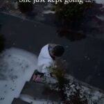Lynn Toler Instagram - It was a slow build to an inevitable fall. She had all her stuff and a grip on the tree but she had to let go because she had places to go. Hollering as she slowly made her way to the street, she stayed calm enough to survive the initial slide. That’s important. Cool will help you stay up right. But then again cool cannot cure life, nor as in this case, could it handle the curb. Sometimes things are just like that. You know you’re pulling up on trouble, you secure yourself the best you can but eventually you have to let go and get on with it. I realized yesterday I was hanging on to the flora. You know? Spent a year just trying to stop the world from shaking. The earthquake of his sudden departure and all its aftershocks, made everything unstable. So it was all about standing my ground and not falling down. And I did. I found level … But now I’m afraid to let go of the tree. It keeps you from falling but it doesn’t allow you to get anywhere, including better places. A life lived solely in search of safety doesn’t guarantee you will be, it does, however, guarantee you won’t get anywhere. And I don’t want to live my life in a bath of tepid water. So now I’m looking to eschew the safety of multiple bed bound hours and slide into whatever is next. I got some good counsel yesterday. She understood where I was standing and he kept talking about Next. I didn’t see it till this morning but I’m looking it straight in the eyes now. Next. I didn’t realize I had completely relinquished that notion. Next, I still get to do that. It IS available and it is not frivolous. So now Next is job 1. I’m gonna do a lot of new. And if I fall y’all better laugh, like her buddy in the video. If I must suffer the indignity of embarrassment I want to at least get something out of it, like amusing you. I mean, we’re like #family, right? 😂 Releasing the flora as I speak … and you can best believe I’m hollering. #fail #fall #ice #next #friends Shoutout @allfails @casual.elsie @bitch