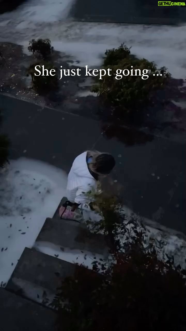 Lynn Toler Instagram - It was a slow build to an inevitable fall. She had all her stuff and a grip on the tree but she had to let go because she had places to go. Hollering as she slowly made her way to the street, she stayed calm enough to survive the initial slide. That’s important. Cool will help you stay up right. But then again cool cannot cure life, nor as in this case, could it handle the curb. Sometimes things are just like that. You know you’re pulling up on trouble, you secure yourself the best you can but eventually you have to let go and get on with it. I realized yesterday I was hanging on to the flora. You know? Spent a year just trying to stop the world from shaking. The earthquake of his sudden departure and all its aftershocks, made everything unstable. So it was all about standing my ground and not falling down. And I did. I found level … But now I’m afraid to let go of the tree. It keeps you from falling but it doesn’t allow you to get anywhere, including better places. A life lived solely in search of safety doesn’t guarantee you will be, it does, however, guarantee you won’t get anywhere. And I don’t want to live my life in a bath of tepid water. So now I’m looking to eschew the safety of multiple bed bound hours and slide into whatever is next. I got some good counsel yesterday. She understood where I was standing and he kept talking about Next. I didn’t see it till this morning but I’m looking it straight in the eyes now. Next. I didn’t realize I had completely relinquished that notion. Next, I still get to do that. It IS available and it is not frivolous. So now Next is job 1. I’m gonna do a lot of new. And if I fall y’all better laugh, like her buddy in the video. If I must suffer the indignity of embarrassment I want to at least get something out of it, like amusing you. I mean, we’re like #family, right? 😂 Releasing the flora as I speak … and you can best believe I’m hollering. #fail #fall #ice #next #friends Shoutout @allfails @casual.elsie @bitch