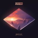 Lzzy Hale Instagram - Geee I wonder what this could be……. @whitepanda Pre-save 🔗 What’s Up? feat. @officiallzzyhale OUT PI DAY 3.14!