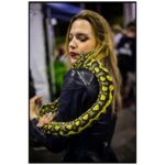 Lzzy Hale Instagram - Lzzrds, Snakes, and long long fingers in Brisbane.