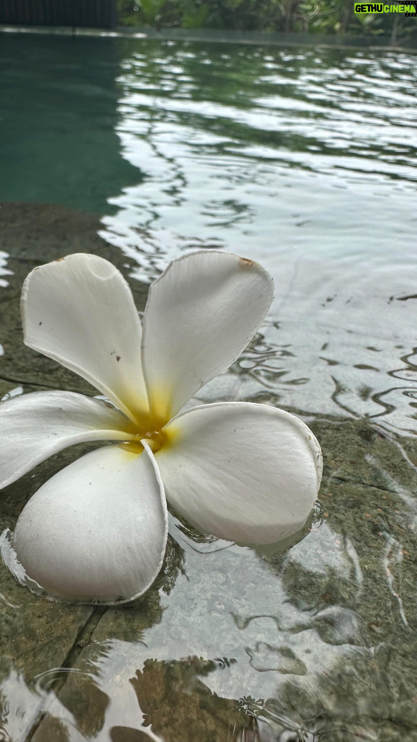 Mélanie Amar - 3 Likes - REGLE 47 : CiAO LES MICROBES !
#bali #balilife #balidaily #travel #lifestyle