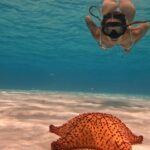 Mélanie Orlenko Instagram - Ces photos ne sont-elles pas magiques ? 🧜🏼‍♀️🐠 @la_cle_de_playa