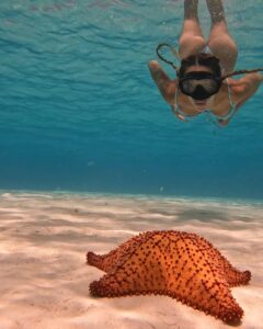 Mélanie Orlenko Instagram - Ces photos ne sont-elles pas magiques ? 🧜🏼‍♀️🐠 @la_cle_de_playa